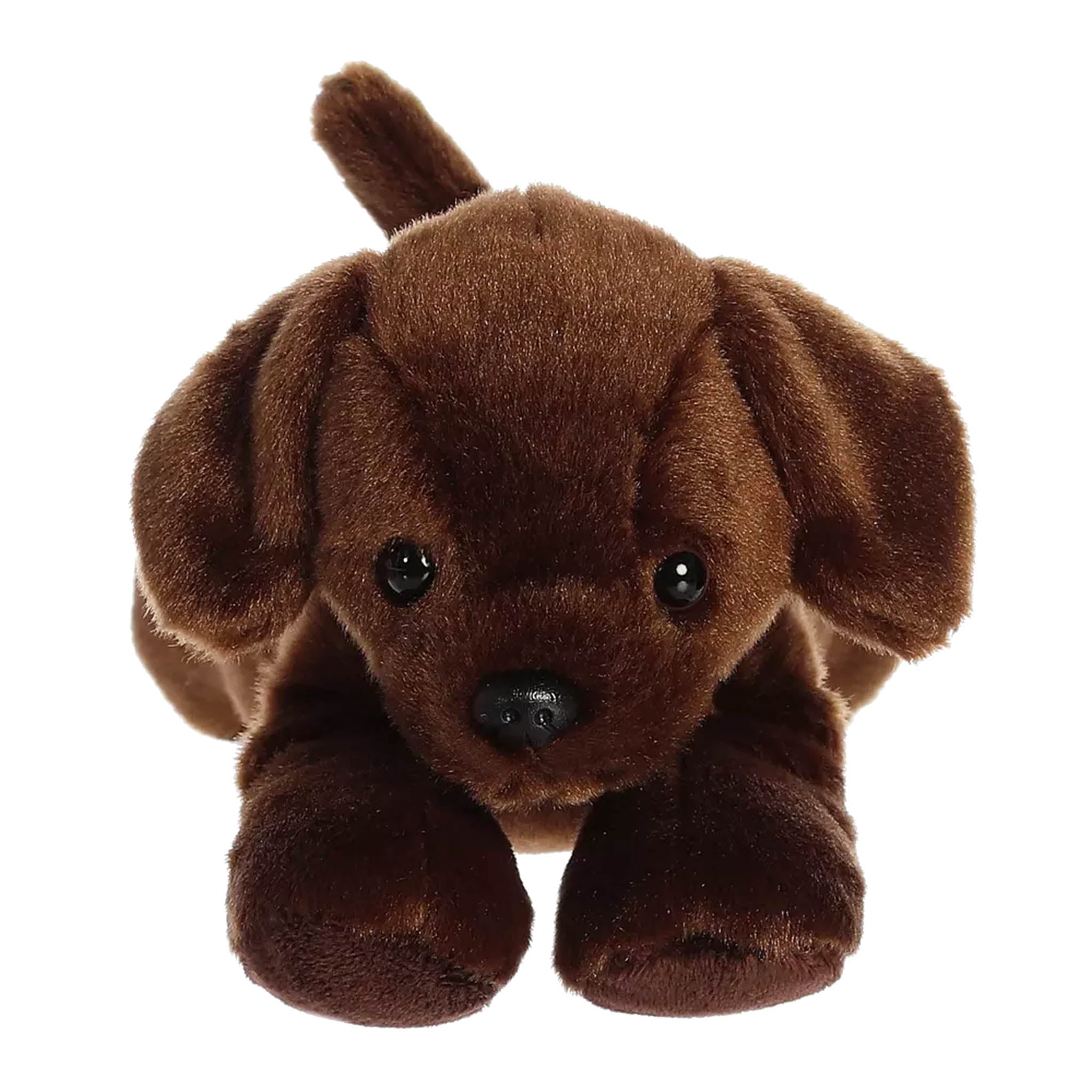Mini Plush Puppy Dog Toy With Personalized Tag