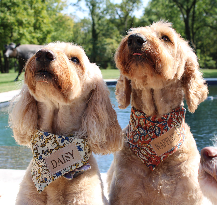 Best Friend Doodle Dog Bandana with Matching Curly Doodle Dog Ornament Option (LIMITED QUANTITIES)