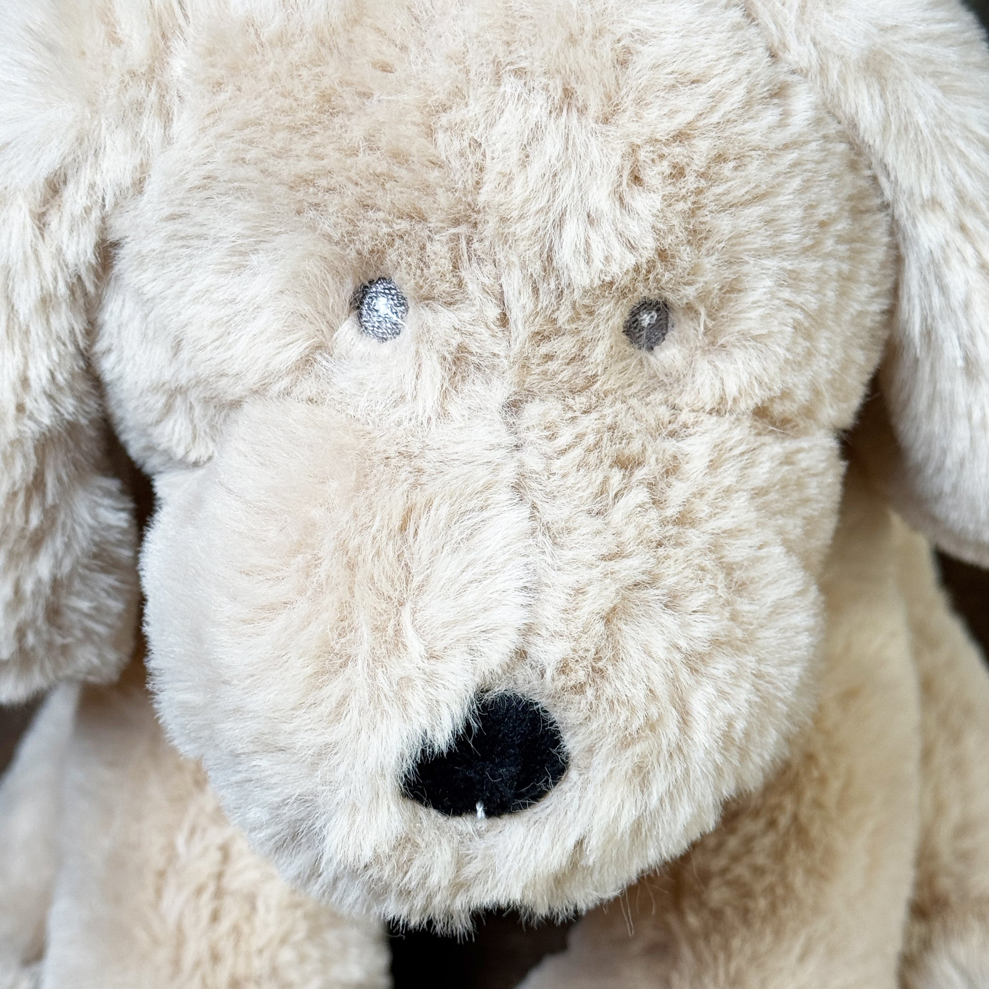 Plush Dog Toy With Personalized Tag