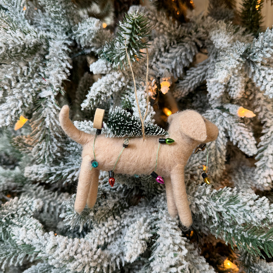 Dog With Tree & Lights Ornament