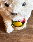 Easter Bunny Doodle Dog Ornament