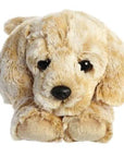 Plush Puppy Dog Toy With Personalized Tag