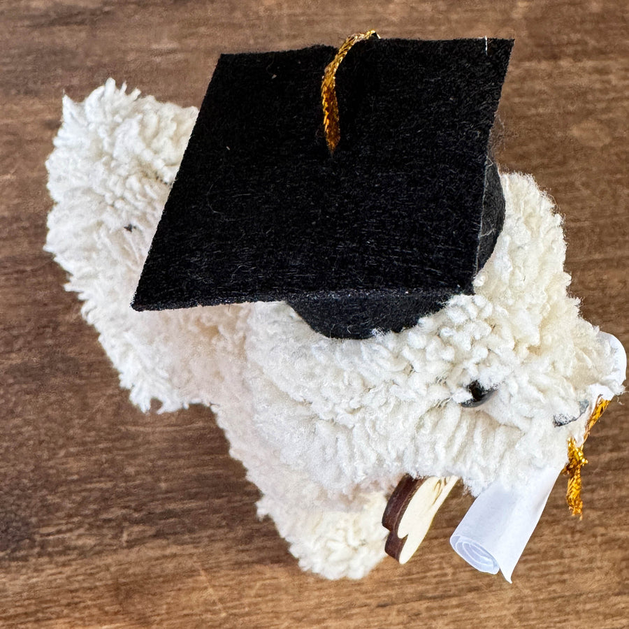 Graduation Doodle Dog Ornament