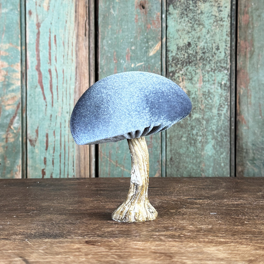 Velvet Mushroom With Greenery