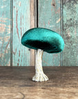 Velvet Mushroom With Greenery