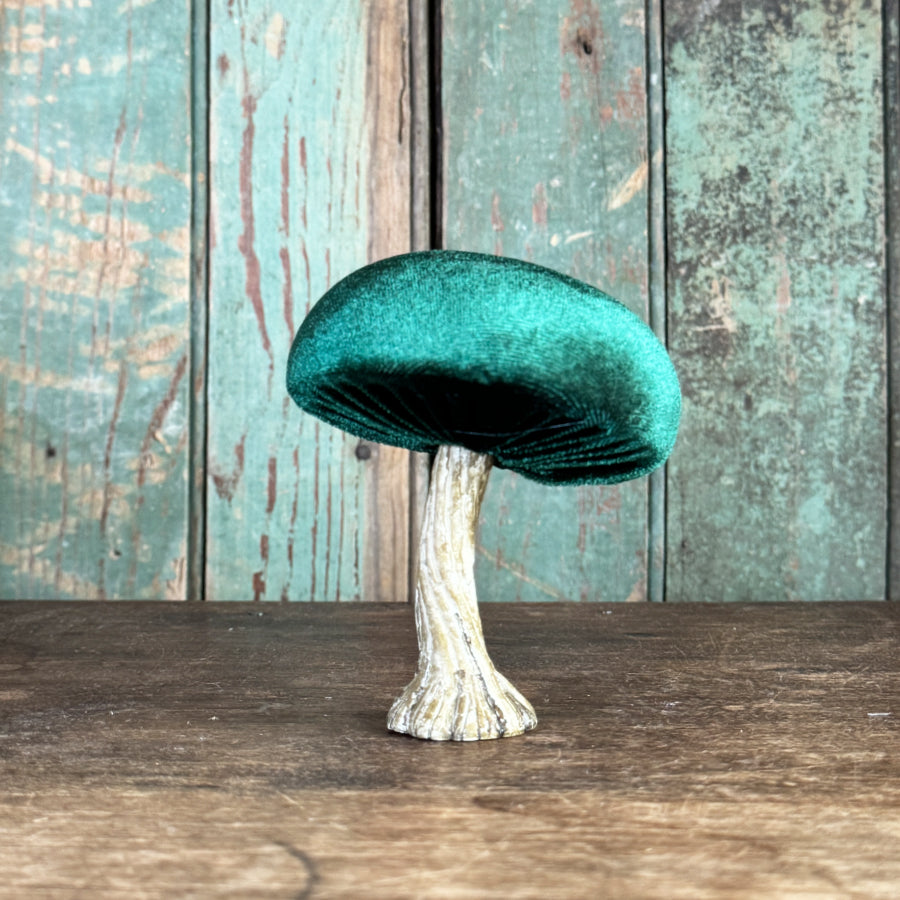 Velvet Mushroom With Greenery