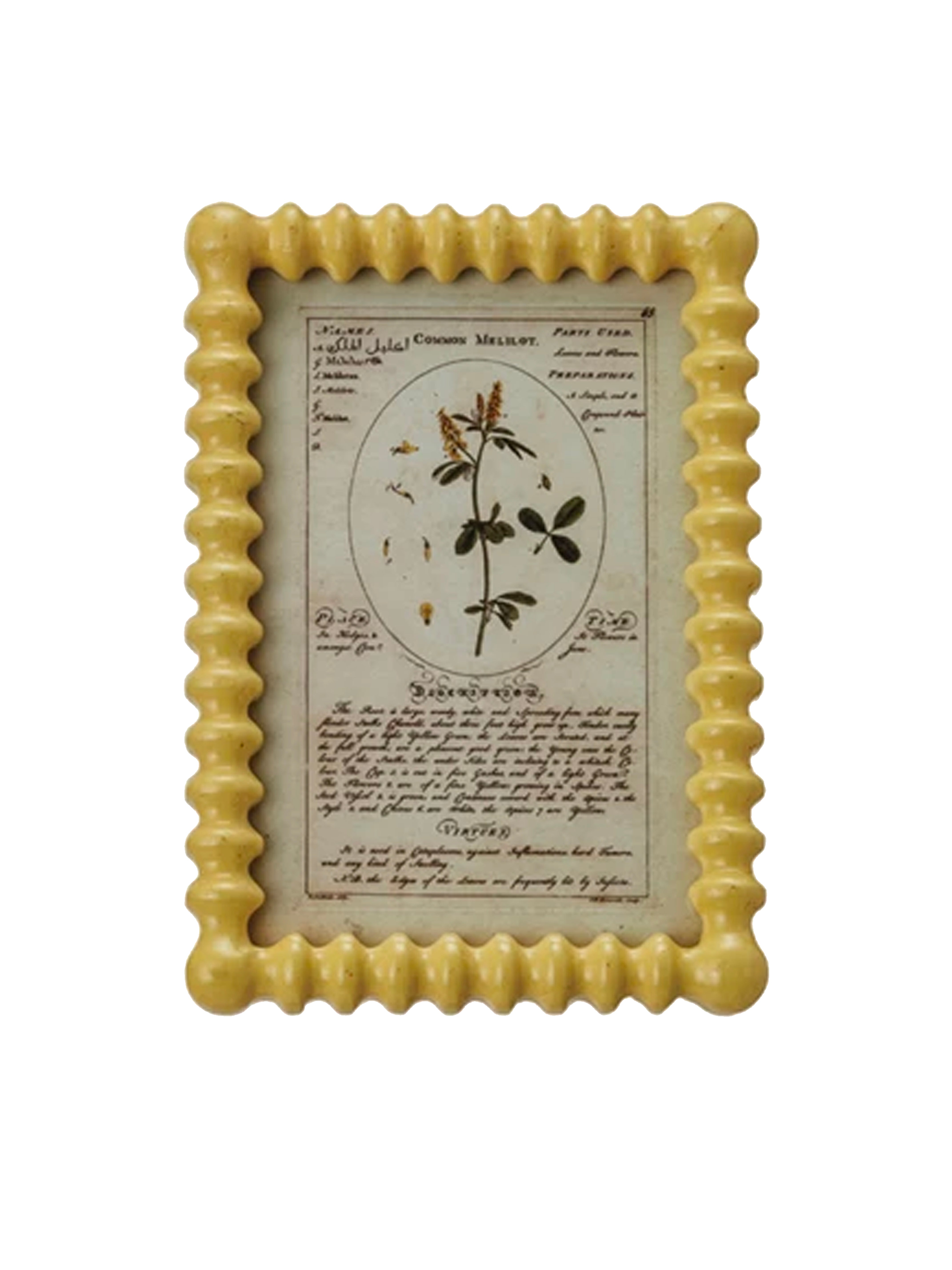 Picture Frame Green & Yellow