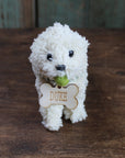 Fetch Personalized Doodle Ornament