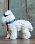 Biden Presidential Pup Doodle Ornament