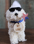 Biden Presidential Pup Doodle Ornament