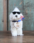 Biden Presidential Pup Doodle Ornament