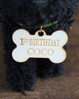 Happy Birthday Doodle Dog Ornament in Gift Box