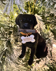 Sitting Labrador Retriever Ornament – Custom Name & Fetch Design
