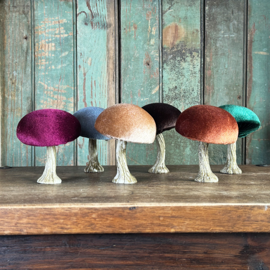 Velvet Mushroom With Greenery