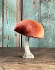 Velvet Mushroom With Greenery