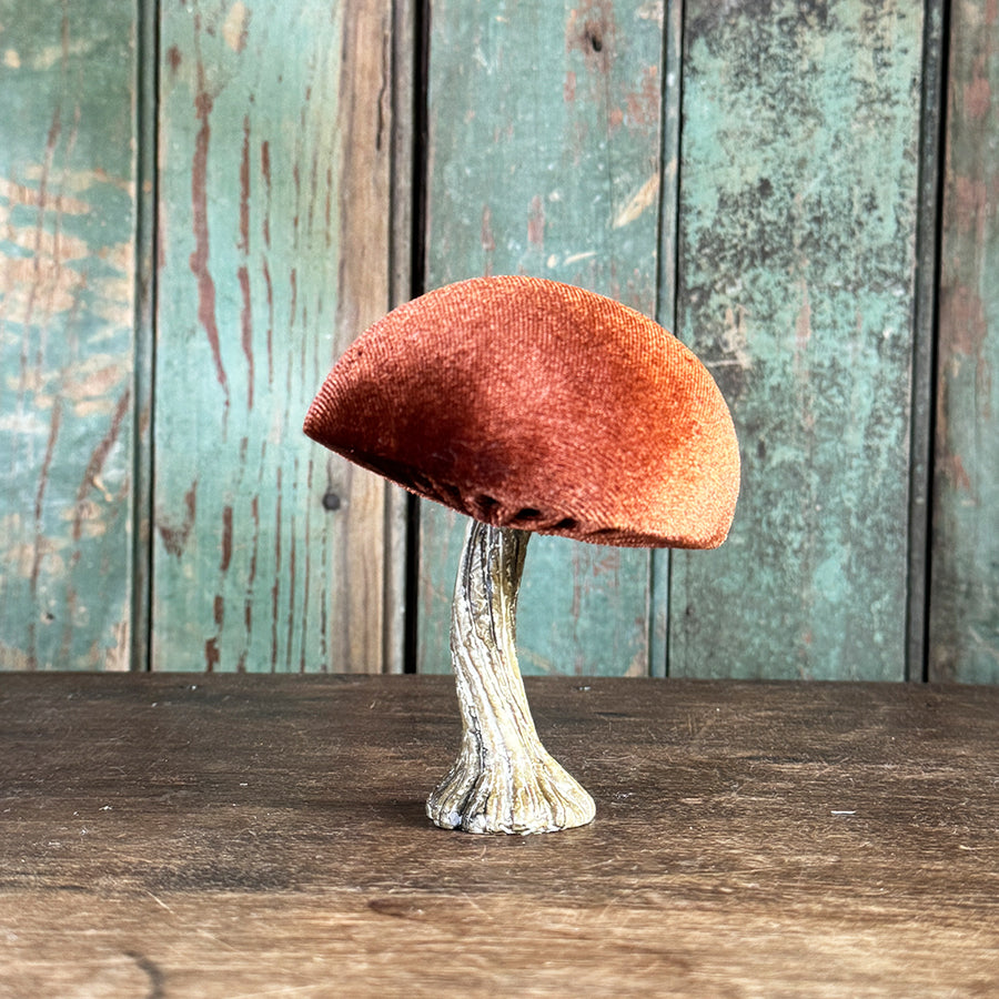 Velvet Mushroom With Greenery