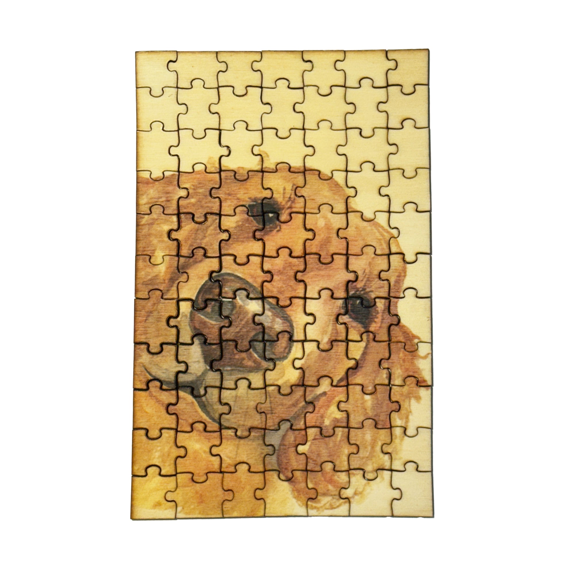 Big Nose Golden Wooden Puzzle