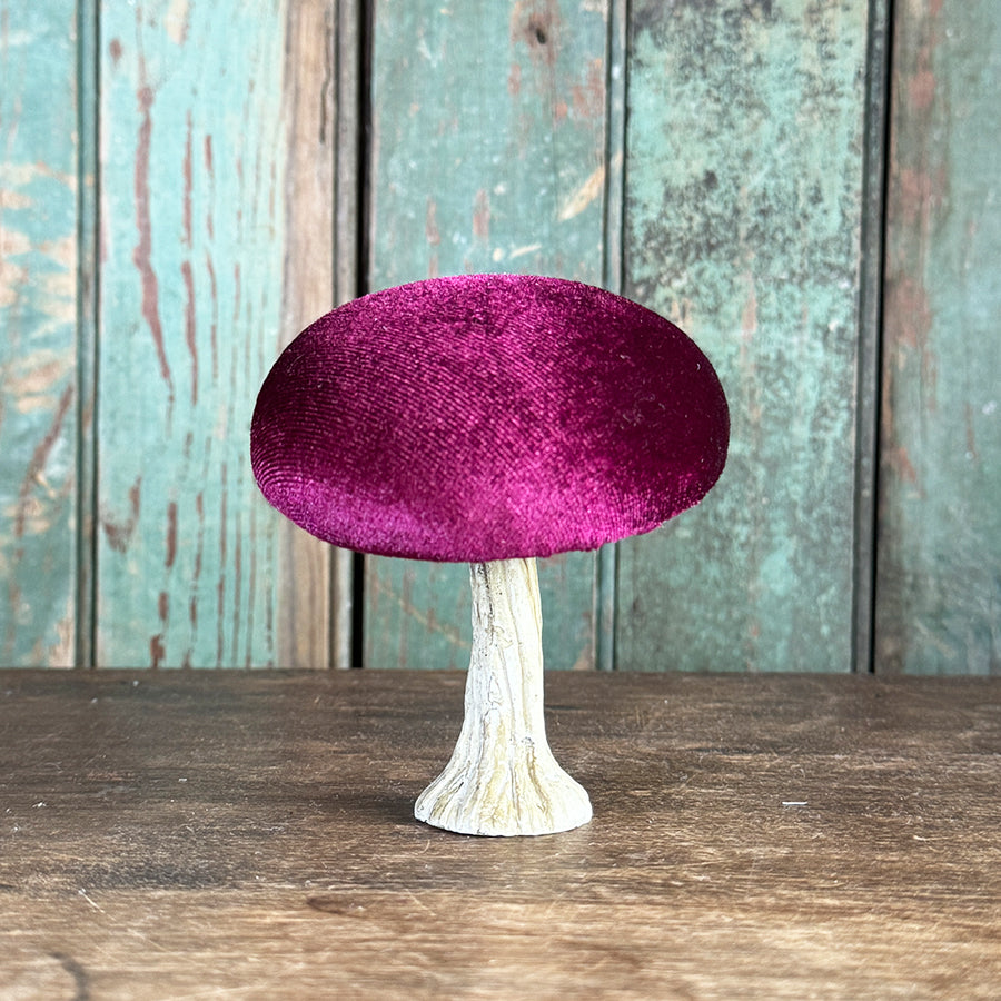 Velvet Mushroom With Greenery