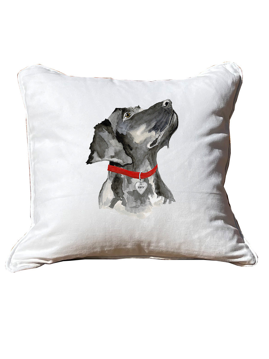 Labrador Retriever White Square Pillow With Piping