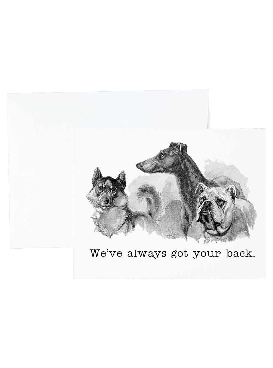 Fun Animals Stationery and Notecard Set
