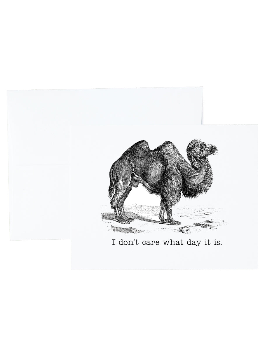 Fun Animals Stationery and Notecard Set