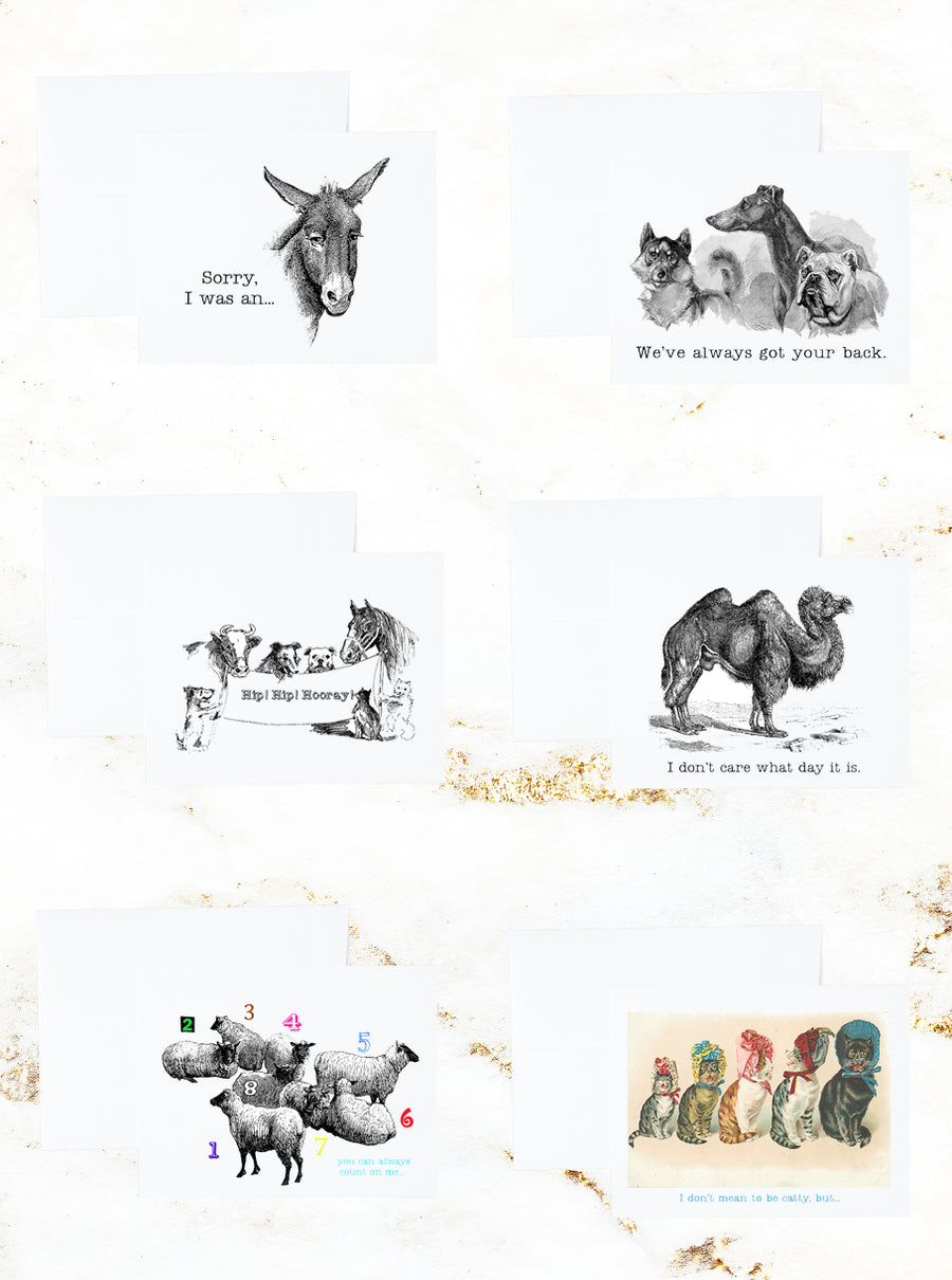 Fun Animals Stationery and Notecard Set