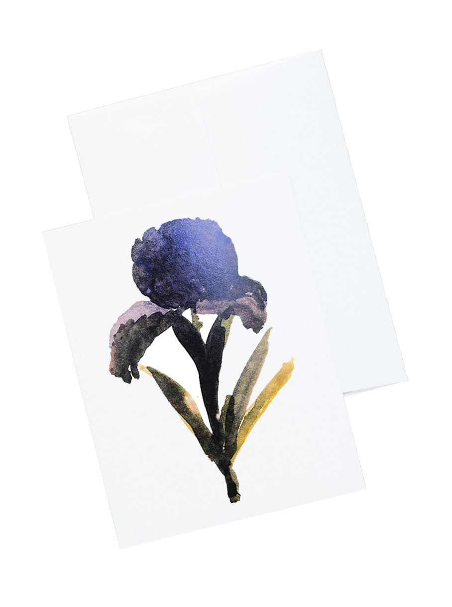 Botanical Stationery and Notecard Set