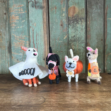 Spooky Dogs in Costumes Halloween Decor