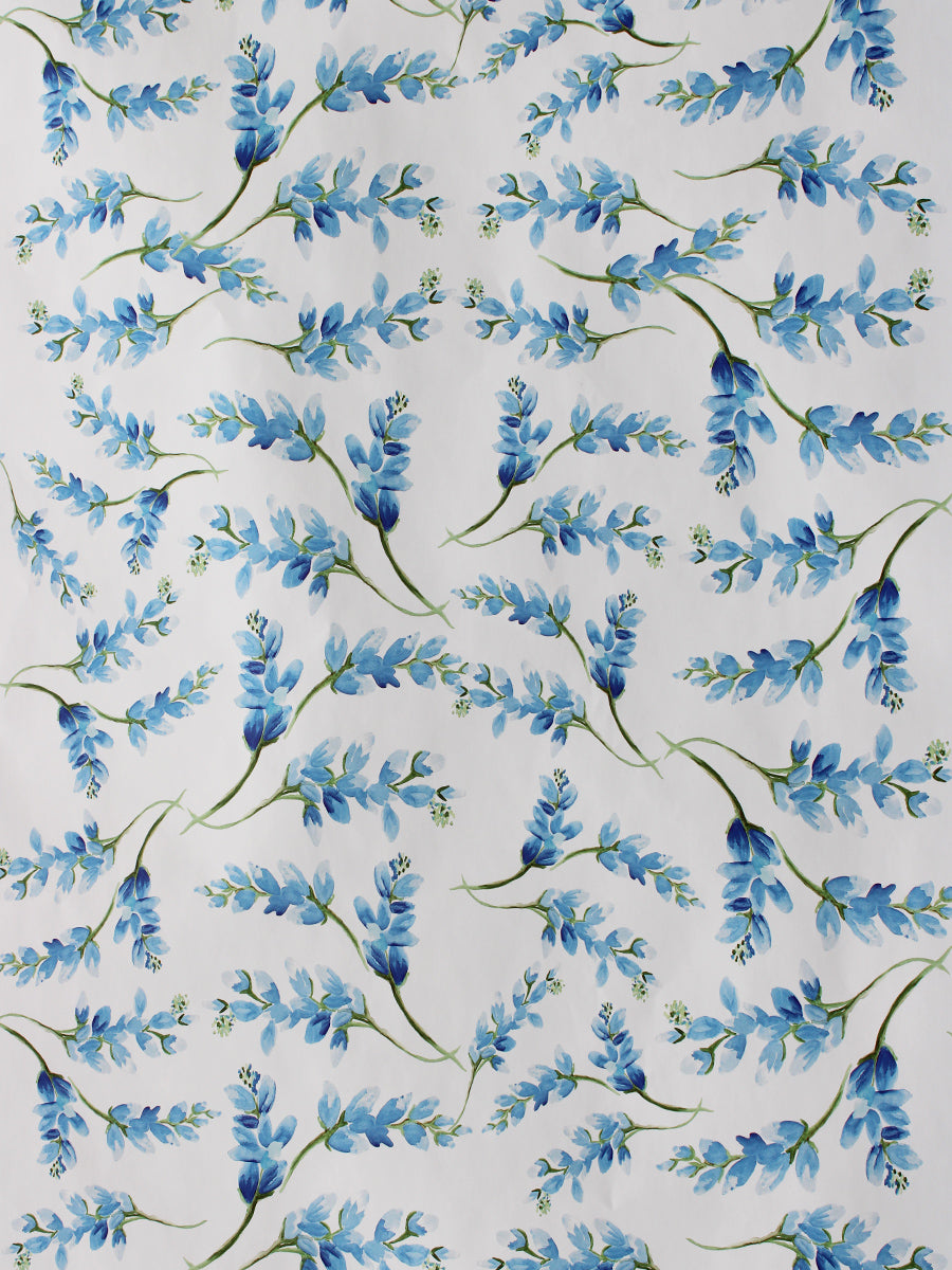Bluebonnets Wrapping Paper