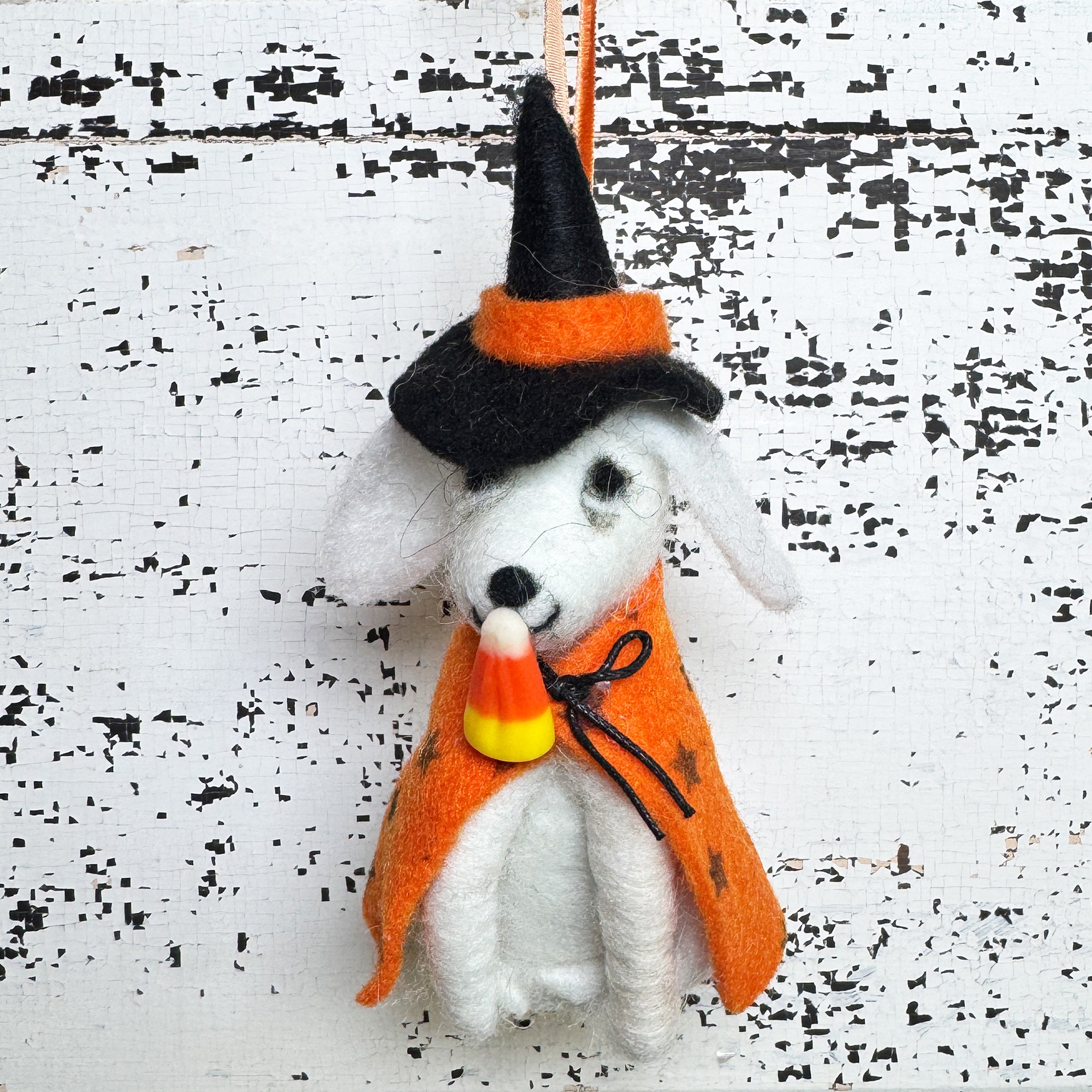 Spooky Pup Costume Halloween Ornament