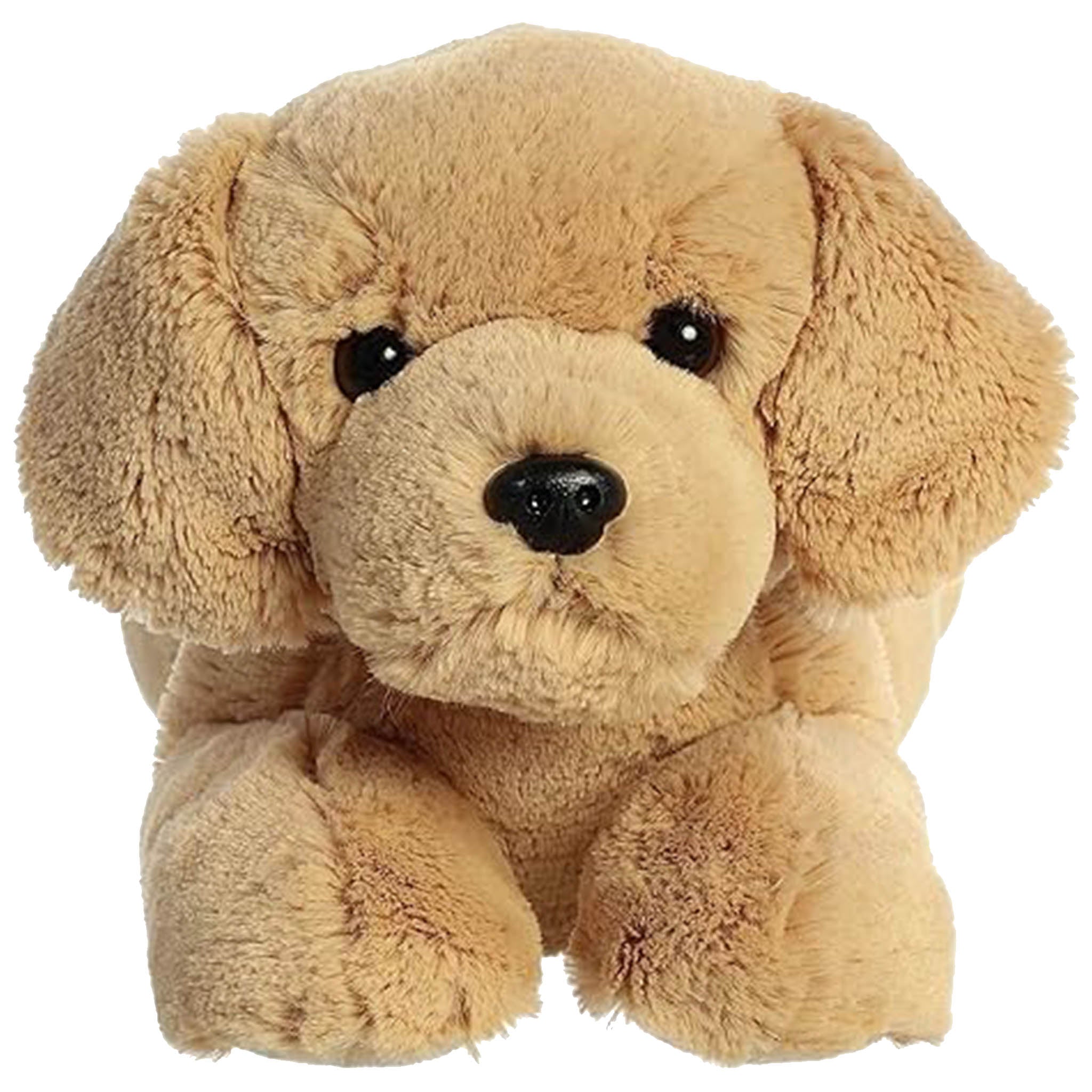 Plush Puppy Dog Toy With Personalized Tag