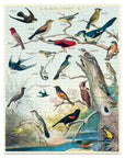 Birds Puzzle