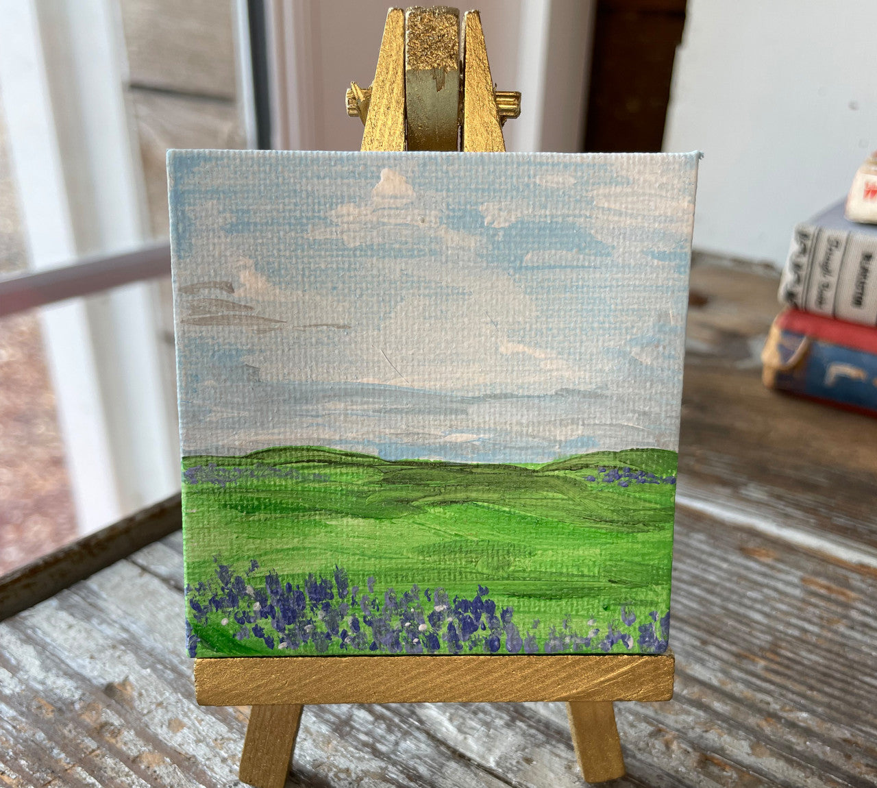 CVS-LLB-LAV (Lavender Fields)