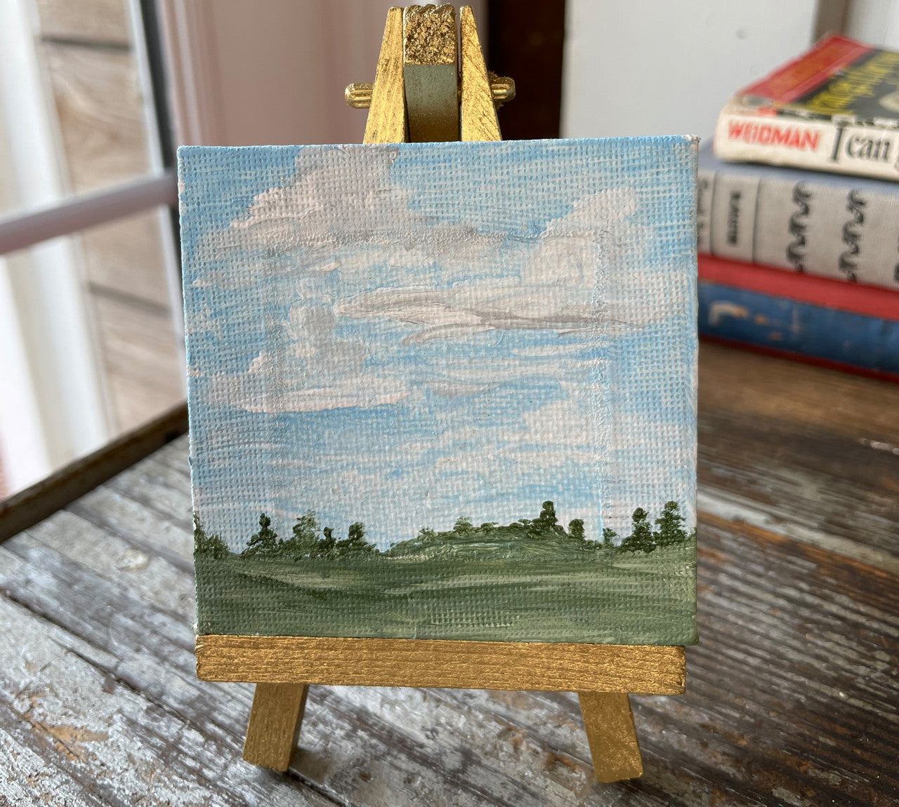 CVS-SIG-MDW (Meadow and Blue Sky)