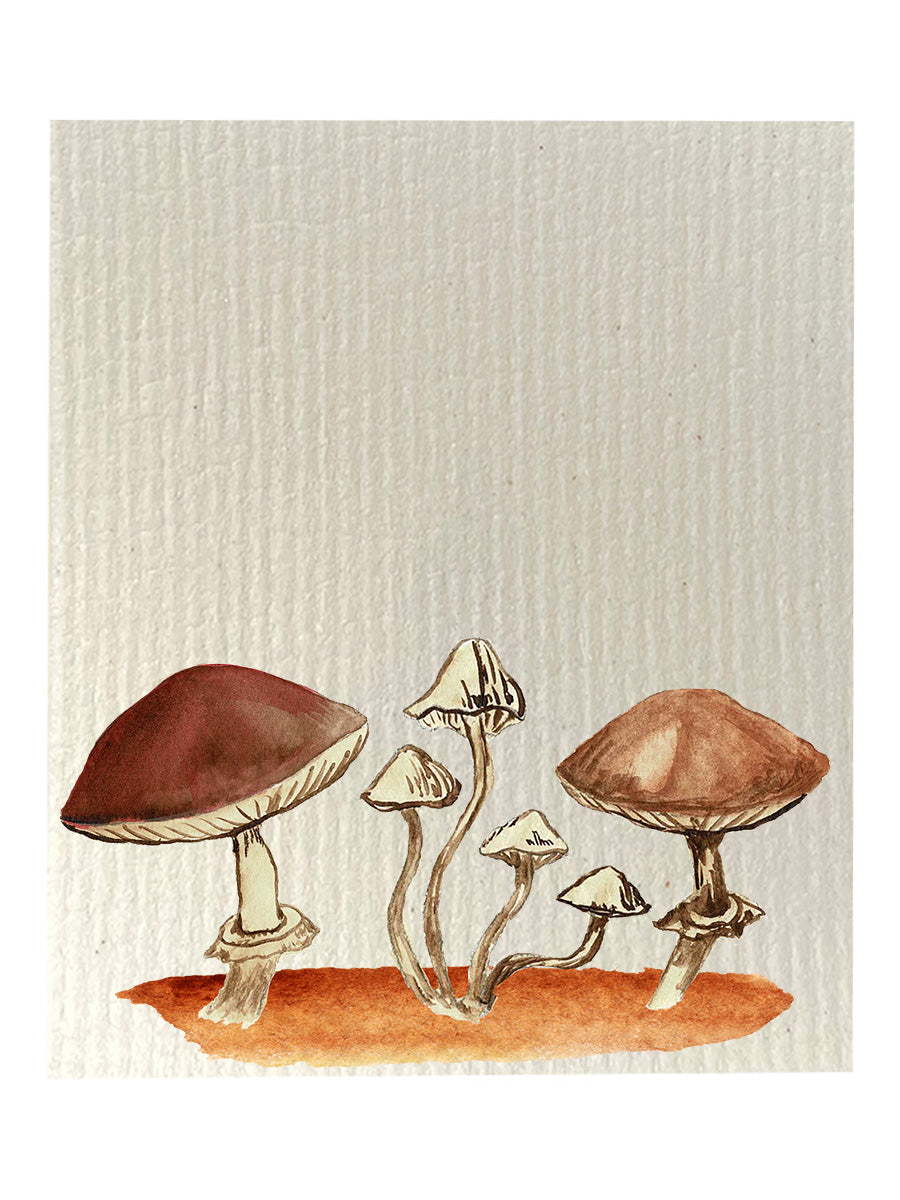 Brown Mushroom Dishcloth Set