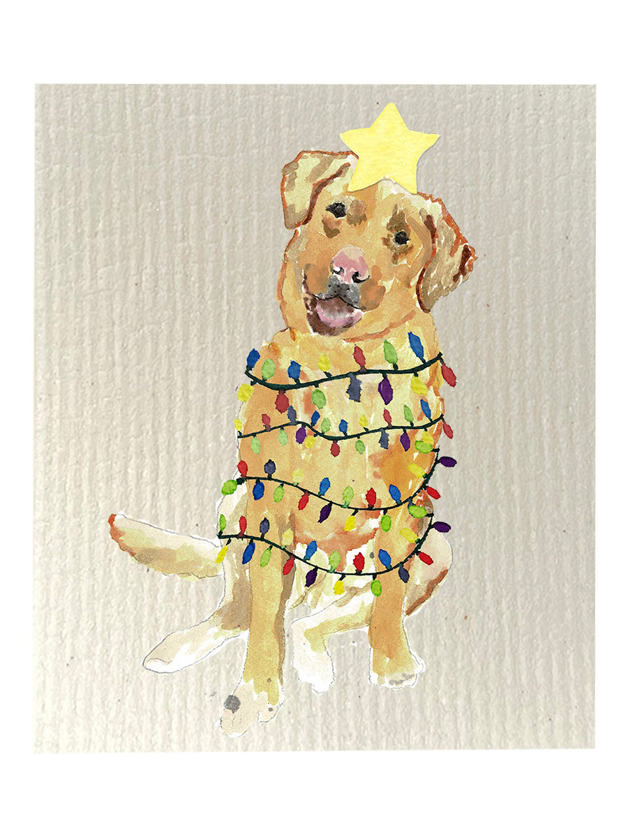 Christmas Lit Lab Dishcloth Set