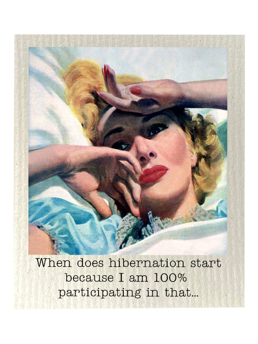 Hibernation Bio-degradable Cellulose Dishcloth Set of 2