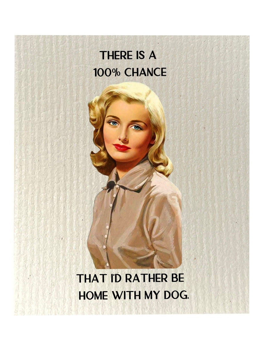 100 Percent Bio-degradable Cellulose Dishcloth Set of 2