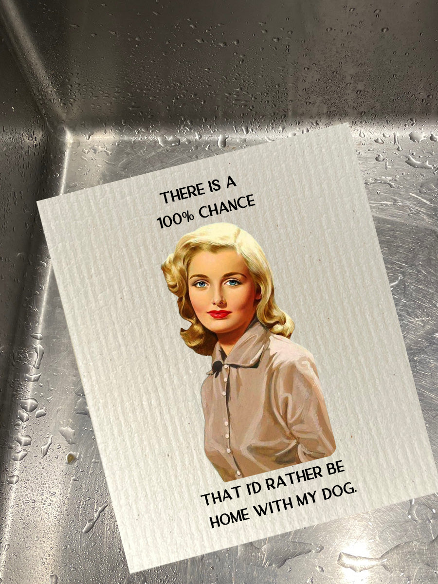 100 Percent Bio-degradable Cellulose Dishcloth Set of 2