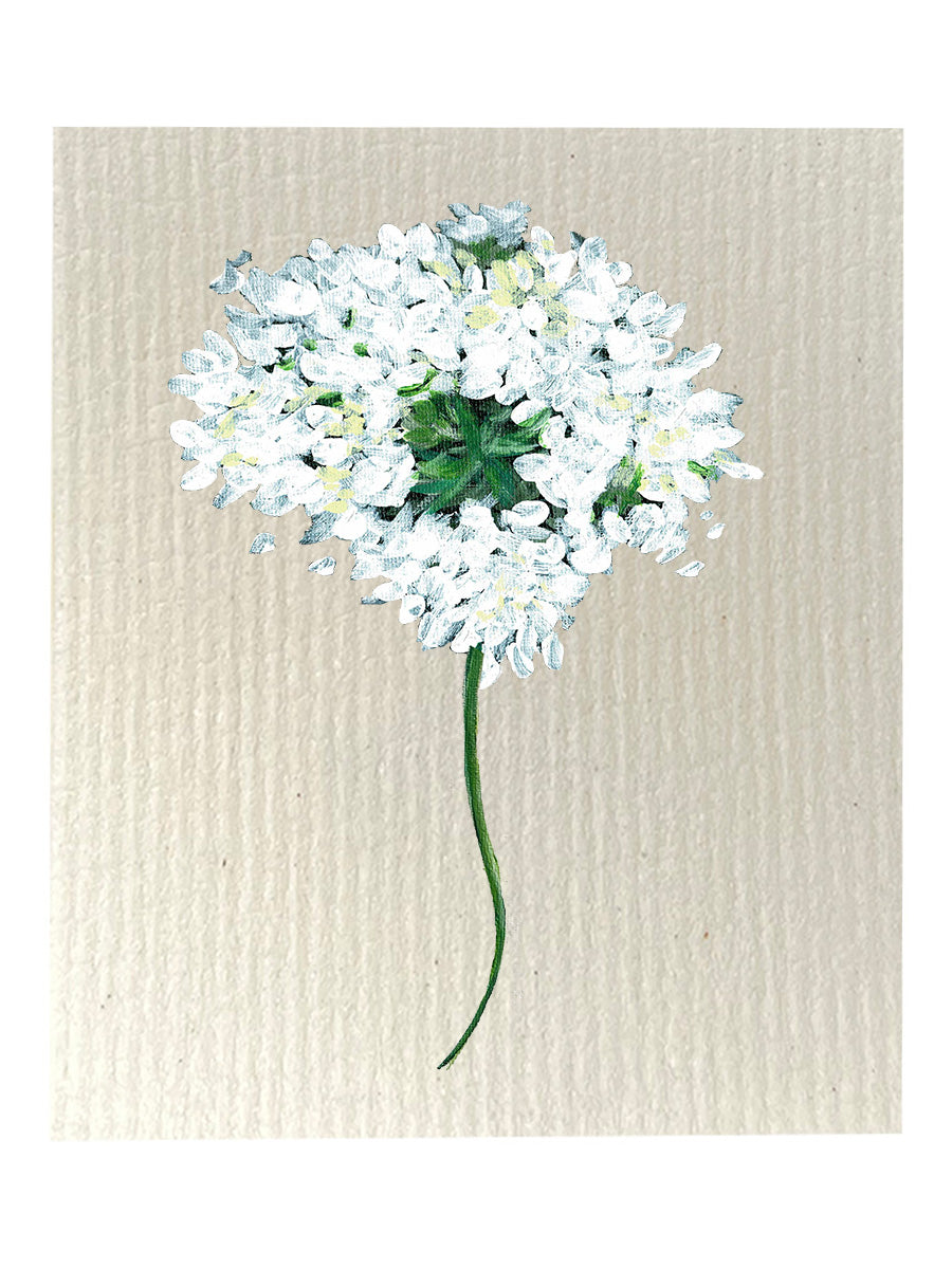 White Hydrangea Dishcloth Set