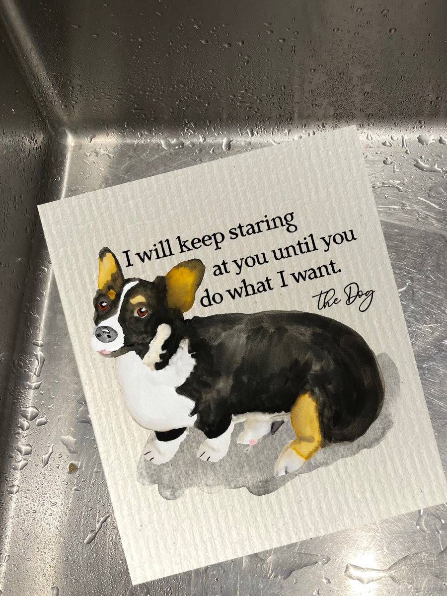 Staring At You Dishcloth Set