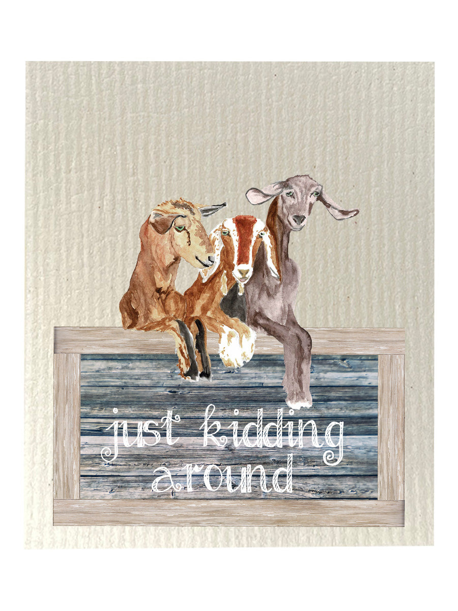 Just Kidding Around Dishcloth Set