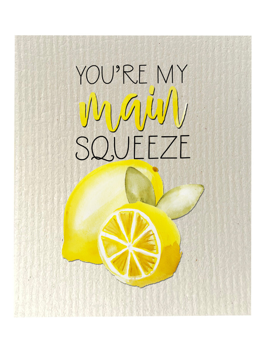 Main Squeeze Black Dishcloth Set