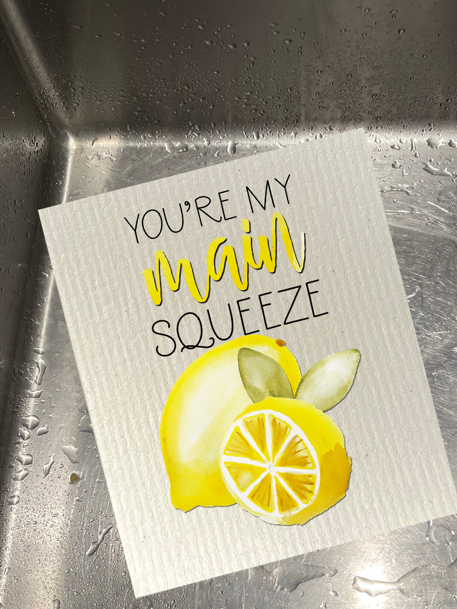 Main Squeeze Black Dishcloth Set