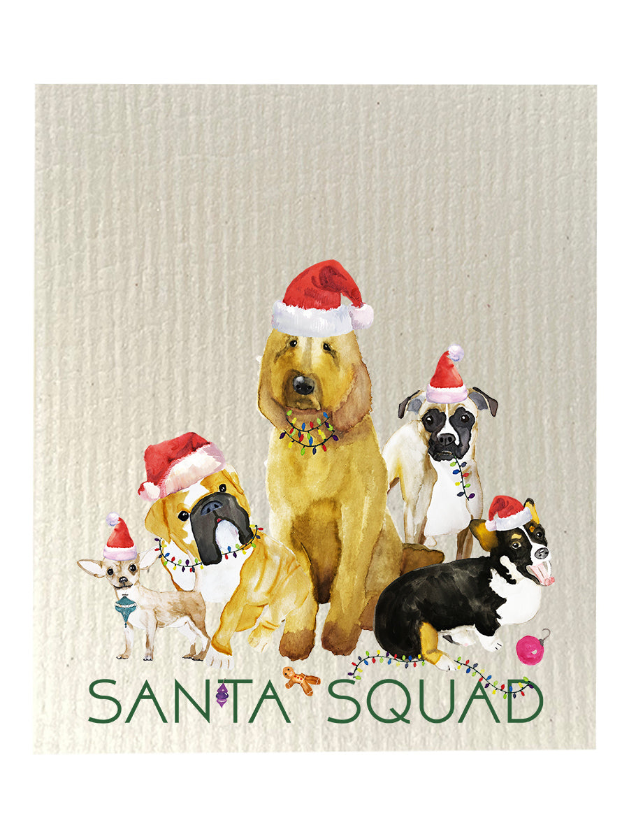 Santa Squad Dishcloth Set