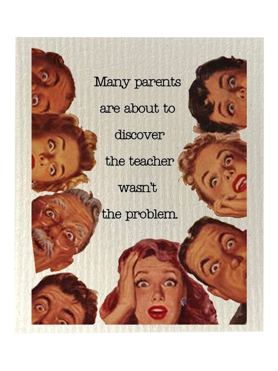 Teacher Wasn't The Problem Dishcloth Set