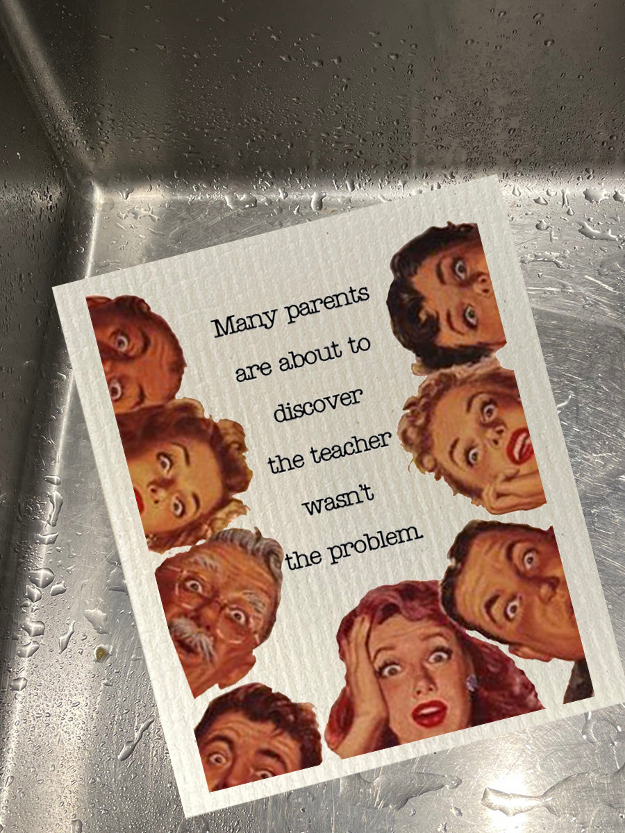 Teacher Wasn't The Problem Dishcloth Set