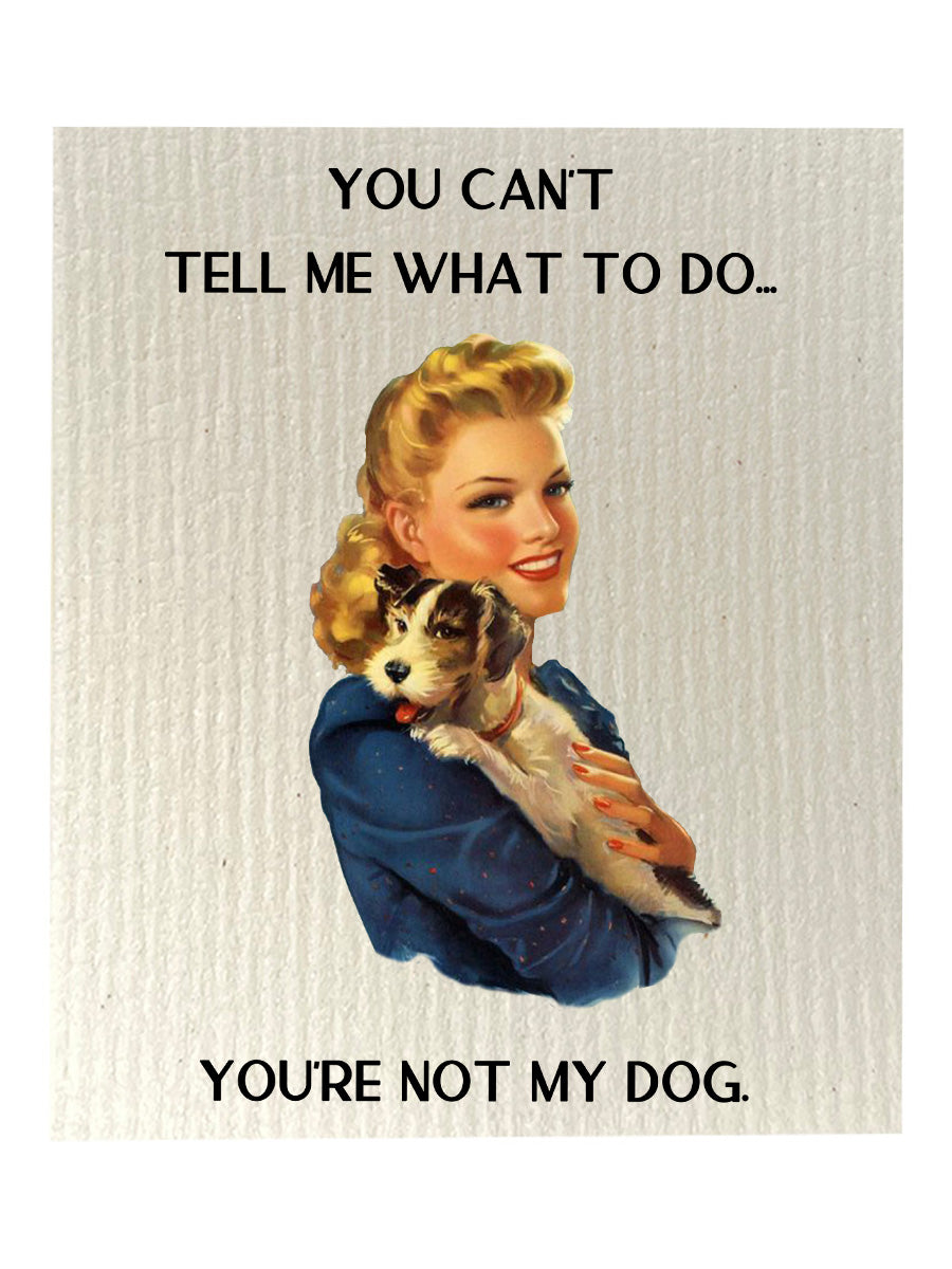 What To Do Dishcloth Set