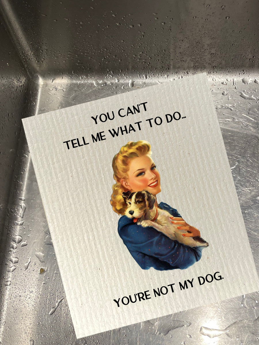 What To Do Dishcloth Set