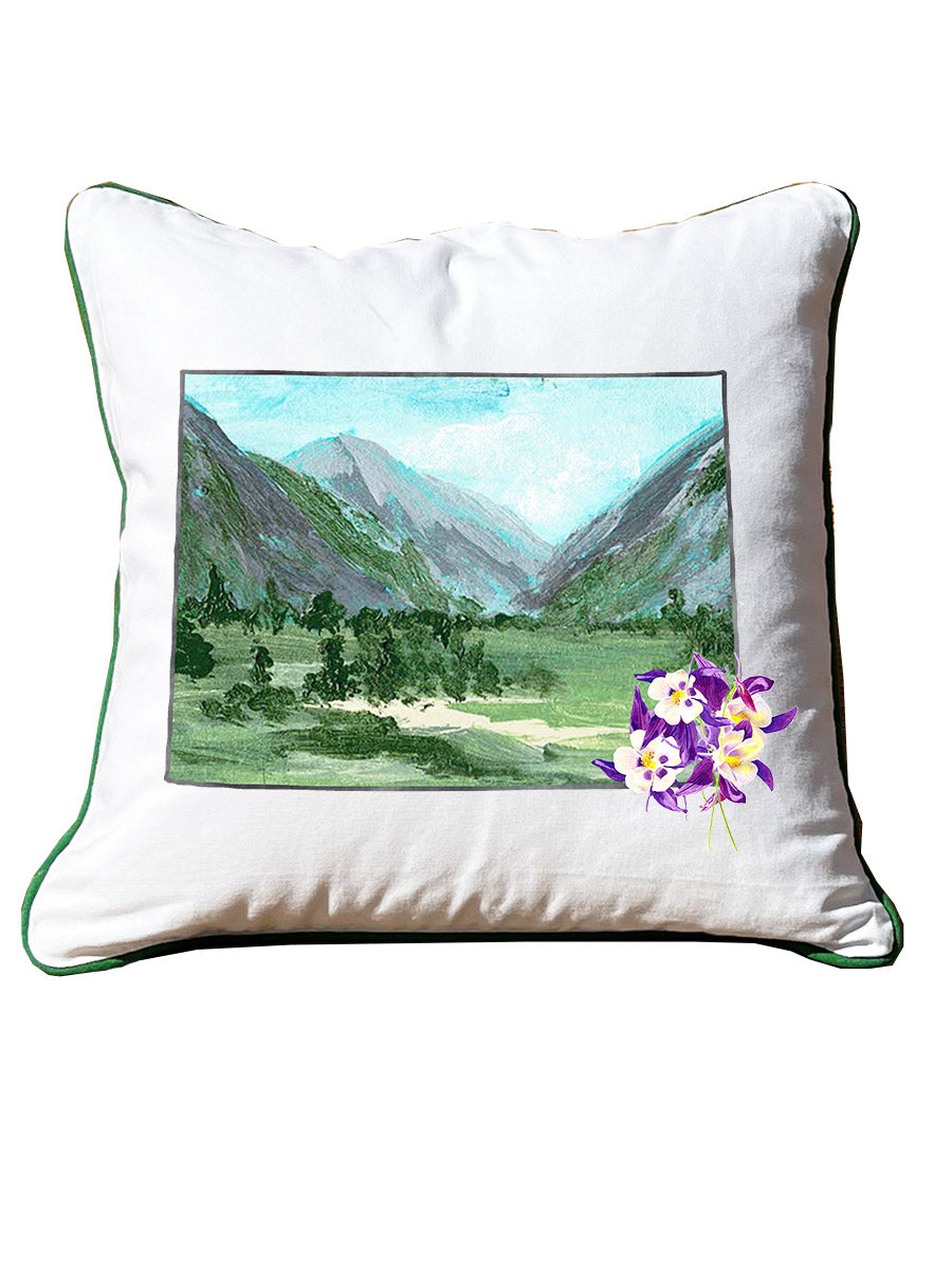 Watercolor State Pillows
